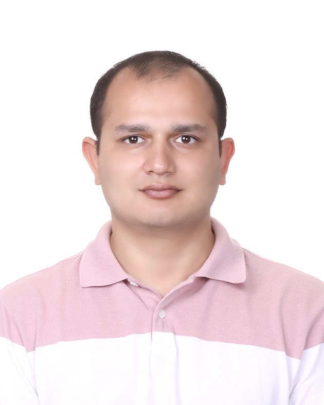 Museum Curator